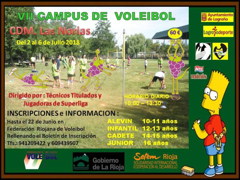 CAMPUS DE VERANO DE VOLEIBOL EN VARIAS LOCALIDADES