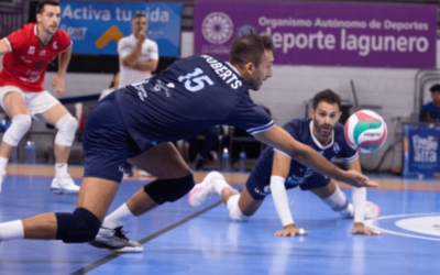 EL TRÉBOL DE CUATRO HOJAS EN LA SVM