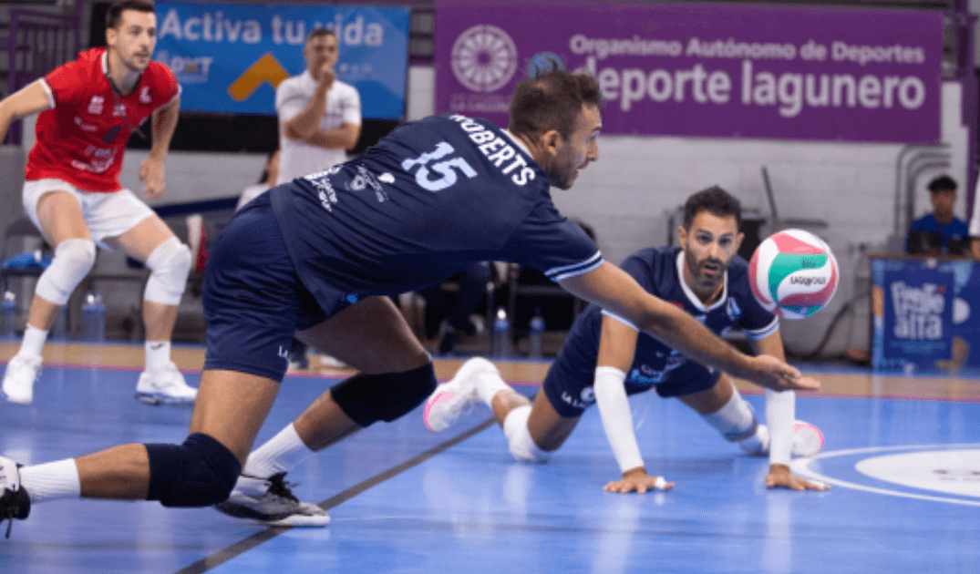 EL TRÉBOL DE CUATRO HOJAS EN LA SVM